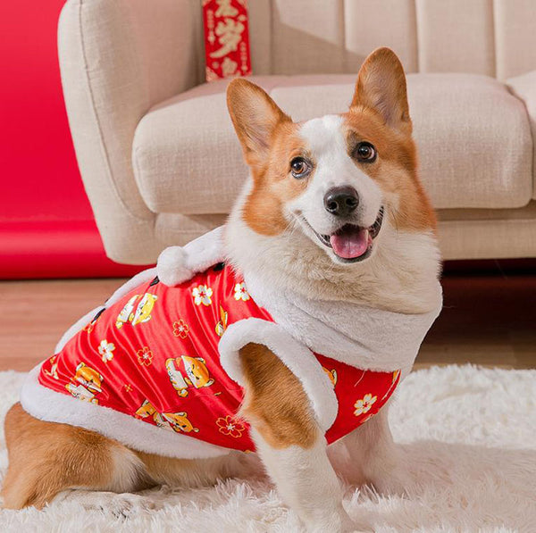 Autumn and winter corgi dog sweater wearing scarf suit Chinese New Year festive New Year pet clothes