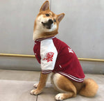 Pet autumn and winter clothing tide brand small and medium dog baseball uniform warm jacket