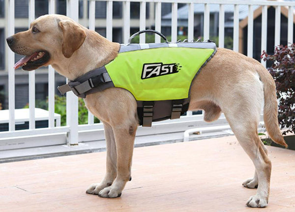 New Reflective Printed Pet Dog Life Jacket Dog Swimming Suit Dog Swimming Supplies Dog Swimwear Vest