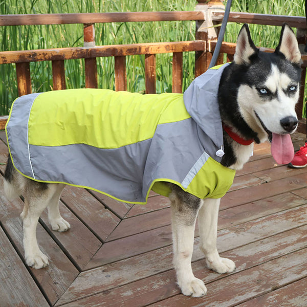 Double layer big dog raincoat