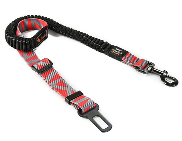 Pet car explosion-proof Okinawa traction rope