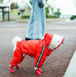 Grand moyen petit Vêtements imperméables pour chien à quatre pattes 