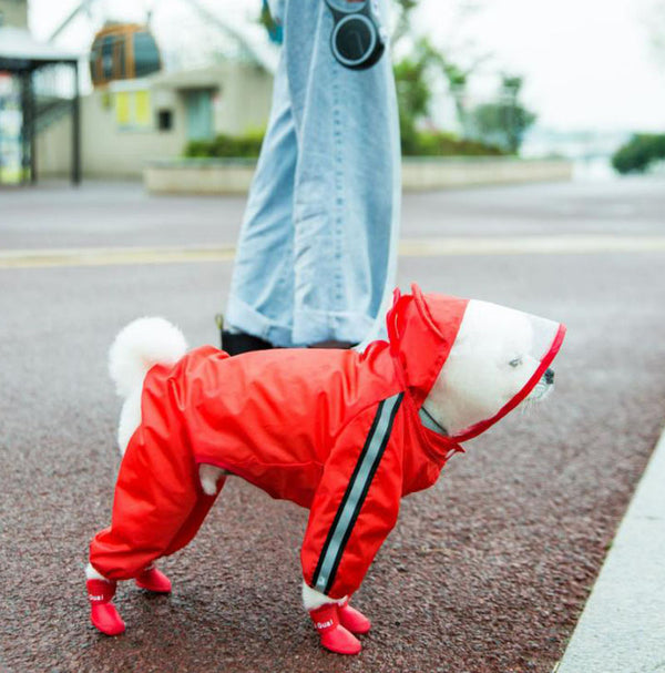 大中小4本足防水犬服 