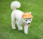 Large and medium puppy dog cap