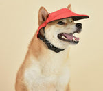 Gorra de béisbol con visera solar para mascotas Four Seasons