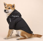 vêtements pour chiens d'automne et d'hiver plus veste épaississante en velours imperméable à capuche à deux jambes manteau en coton à rayures réfléchissantes