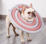 Large, medium and small lightweight pet bite-proof collar