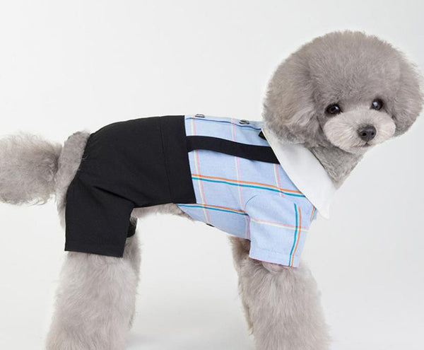 Pet clothing spring and summer new dog clothes couples wear student suits Teddy Bichon Pomeranian clothes