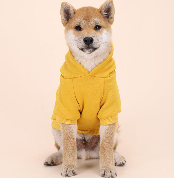 Dog's feet plus velvet warm personality trend hooded sweater