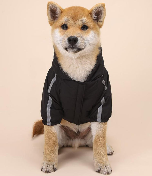 vêtements pour chiens d'automne et d'hiver plus veste épaississante en velours imperméable à capuche à deux jambes manteau en coton à rayures réfléchissantes