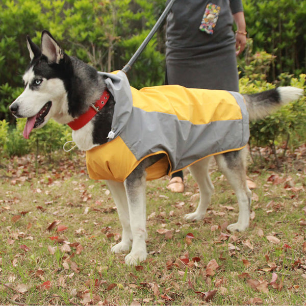 二重層の大きな犬のレインコート