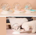 Pet automatic snail drinker feeder