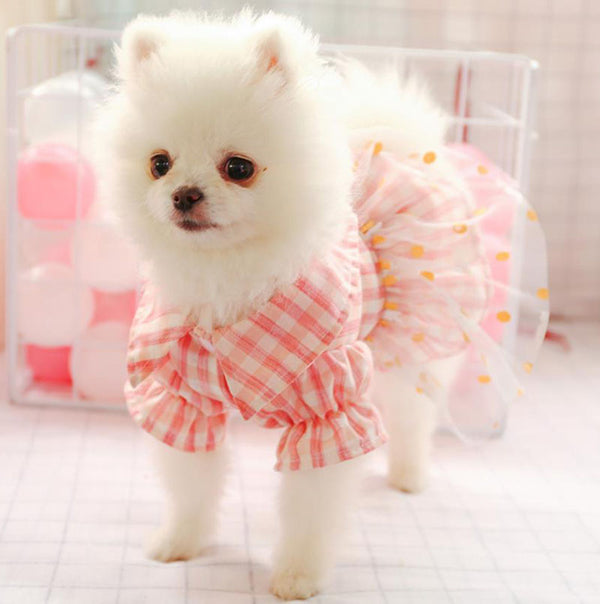 Pet dog cat spring and summer new skirt