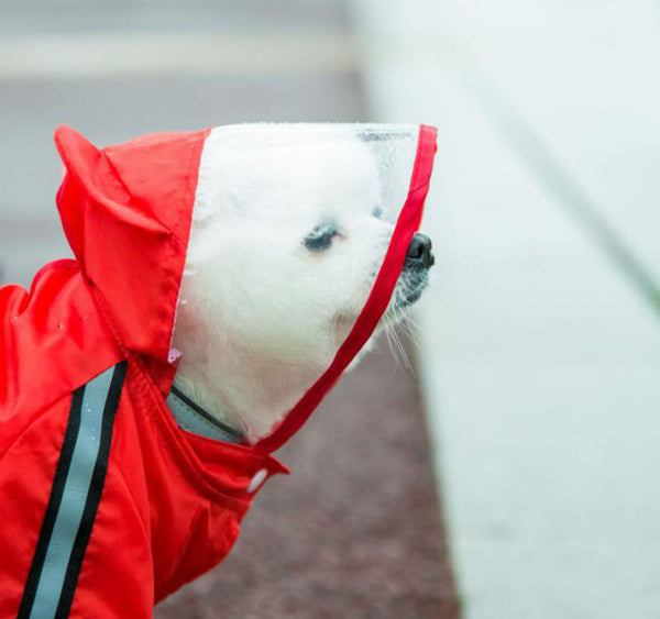 Groß mittel klein Vierbeinige wasserdichte Hundebekleidung 