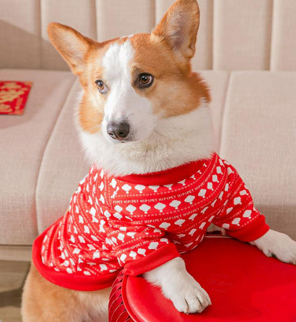 New Year and Festive Two-legged Pet Clothes for Corgi Dachshund Small and Medium-sized Dogs