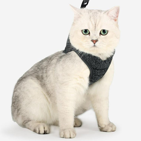 Cat chest harness traction rope