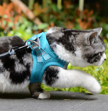 Small and medium-sized dogs, cats leash vest type pet chest harness