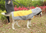 Double layer big dog raincoat