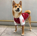 Pet autumn and winter clothing tide brand small and medium dog baseball uniform warm jacket