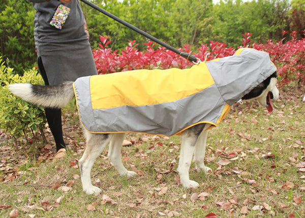 Double layer big dog raincoat