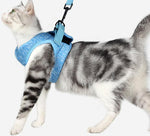 Cat chest harness traction rope