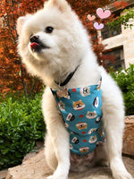 Pet dog cooling scarf cooling jacket