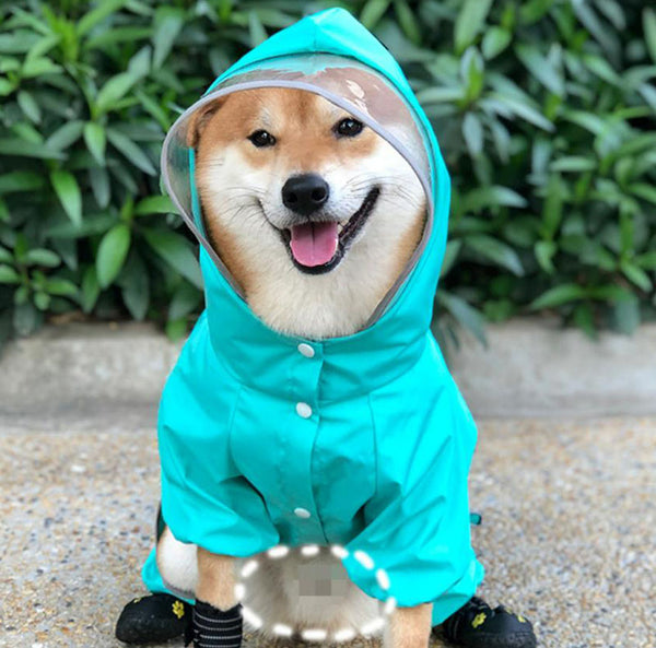 Shiba inu dog raincoat