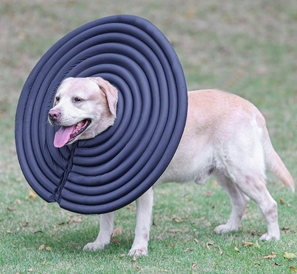 Large, medium and small lightweight pet bite-proof collar