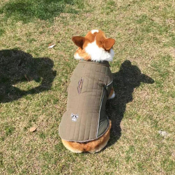 Gorra desmontable ropa para mascotas de otoño e invierno