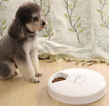 Pet six-hole intelligent timing and quantitative automatic feeder