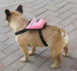 The new backpack for outing pets