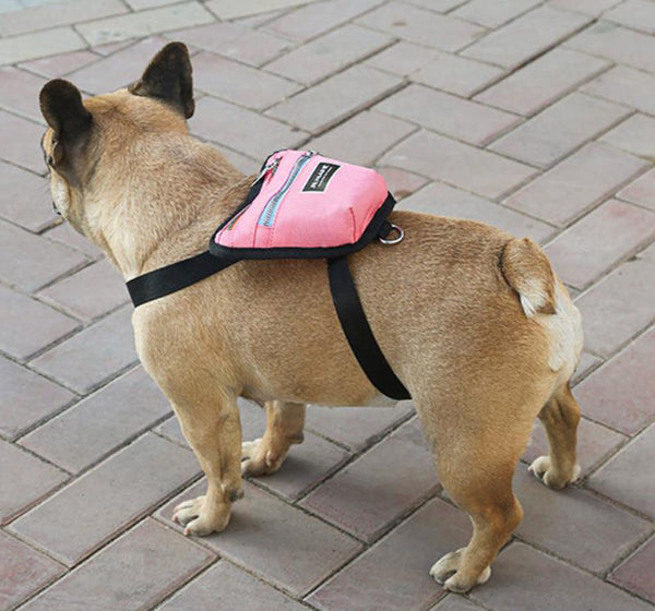 Nueva mochila para mascotas de excursión