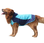 Double layer big dog raincoat