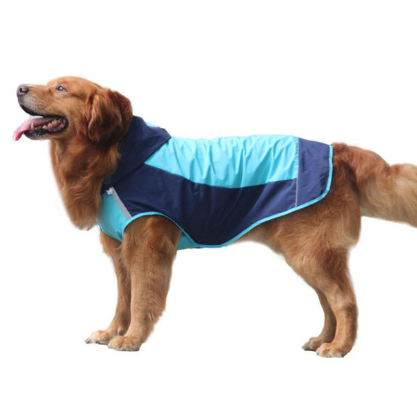 Double layer big dog raincoat