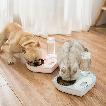 Love automatic drinking water double bowl pet bowl