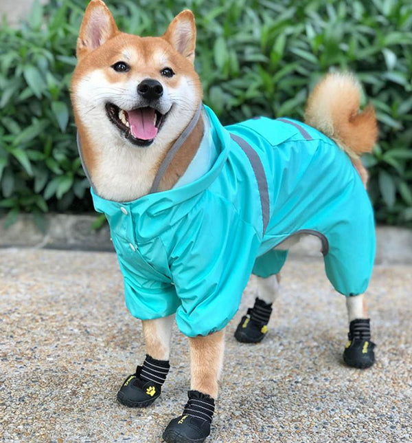 Shiba inu dog raincoat