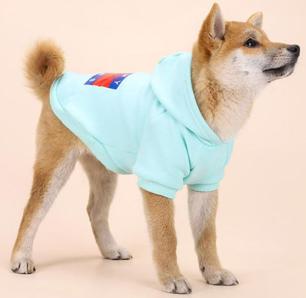 Pieds de chien et pull à capuche tendance en velours à la personnalité chaleureuse