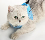 Cat chest harness traction rope