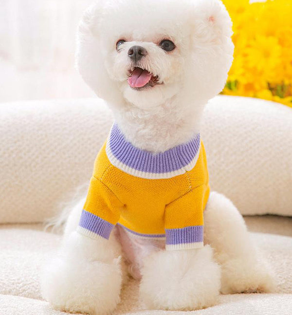 Autumn and winter fresh flower jacquard knitted cardigan puppy dog two-legged sweater