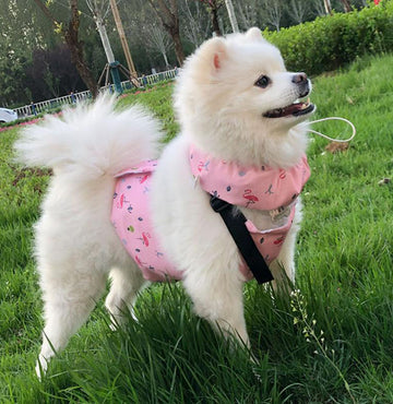 Pet dog cooling scarf cooling jacket