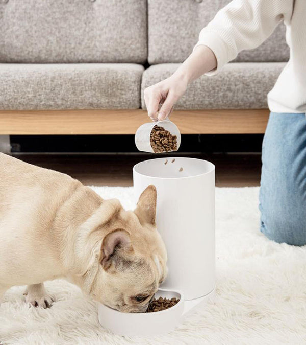 Fontaine à boire intelligente pour alimentateur d'eau potable automatique pour animaux de compagnie