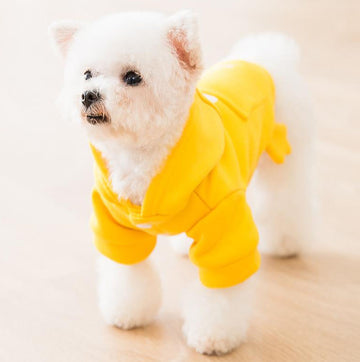 New autumn and winter hooded sweater cat small dog pet clothes