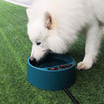 Pet heating bowl