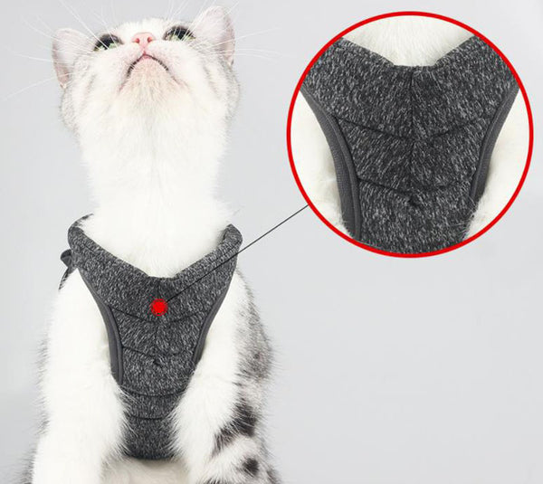 Cat chest harness traction rope