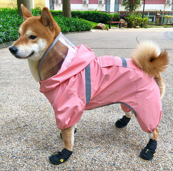 Shiba inu dog raincoat