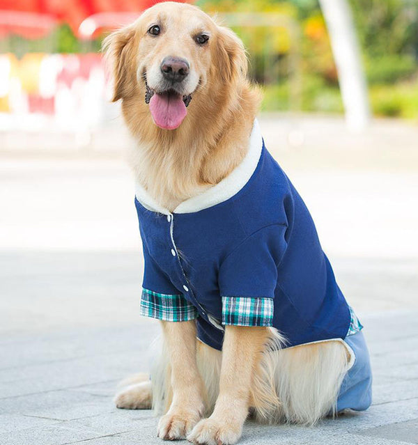 Nouveaux vêtements d'hiver chauds pour animaux de compagnie pour chiens moyens et grands