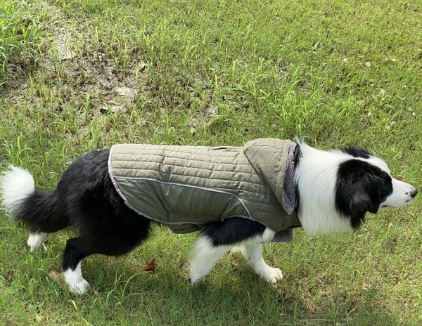 Gorra desmontable ropa para mascotas de otoño e invierno