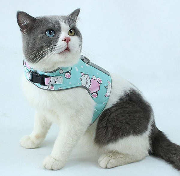 Breathable anti-strike reflective cat harness