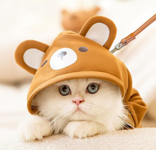 Autumn and winter hooded sweater funny cute cat feet pet clothes