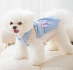 Autumn and winter little dog little fragrant princess dress